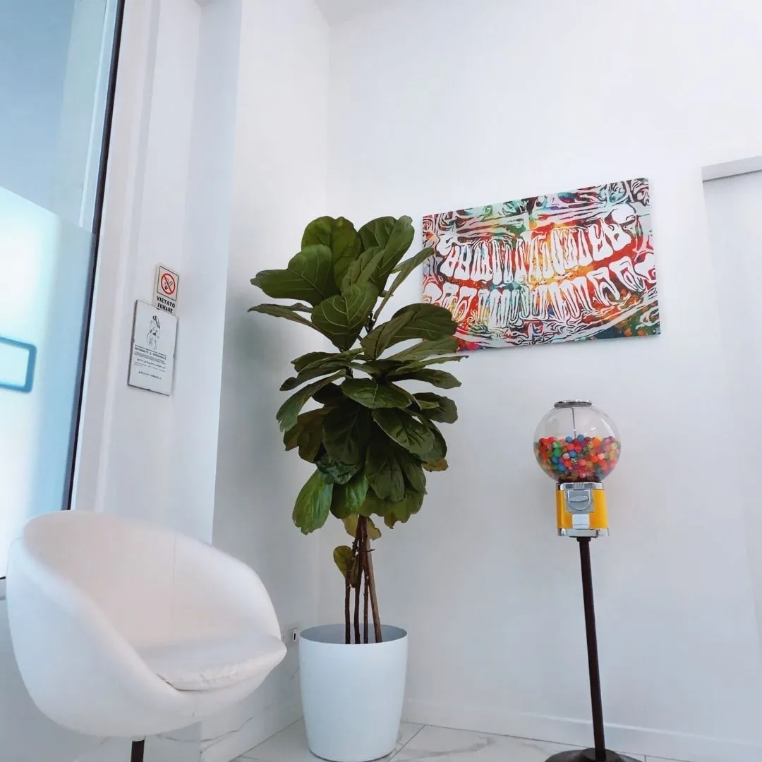 Studio dentistico a Magenta e Segrate - Studio dentistico ad Abbiategrasso - studio dentistico a Corbetta - studio dentistico a Pioltello - studio dentistico a Cernusco sul Naviglio